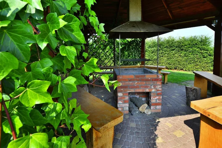 Parterowe domki wakacyjne dla max 3 osób w Bobolinie-Gardens in summer