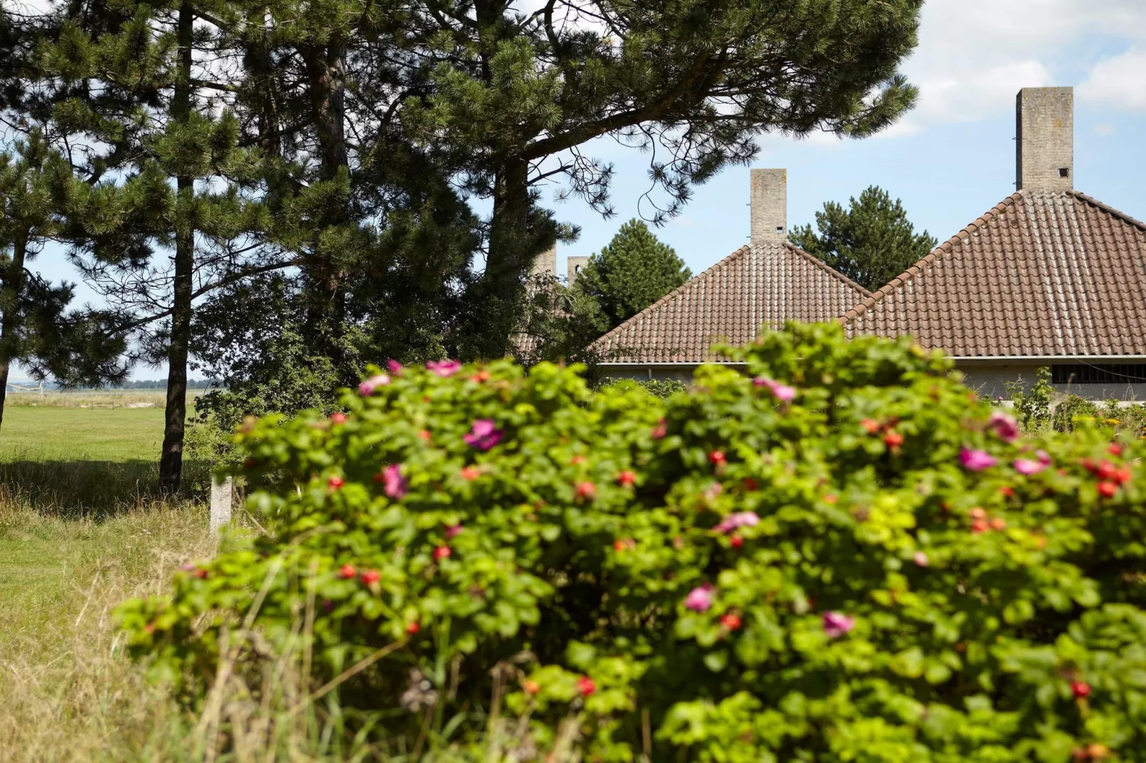 	3 roomPremium-Extérieur