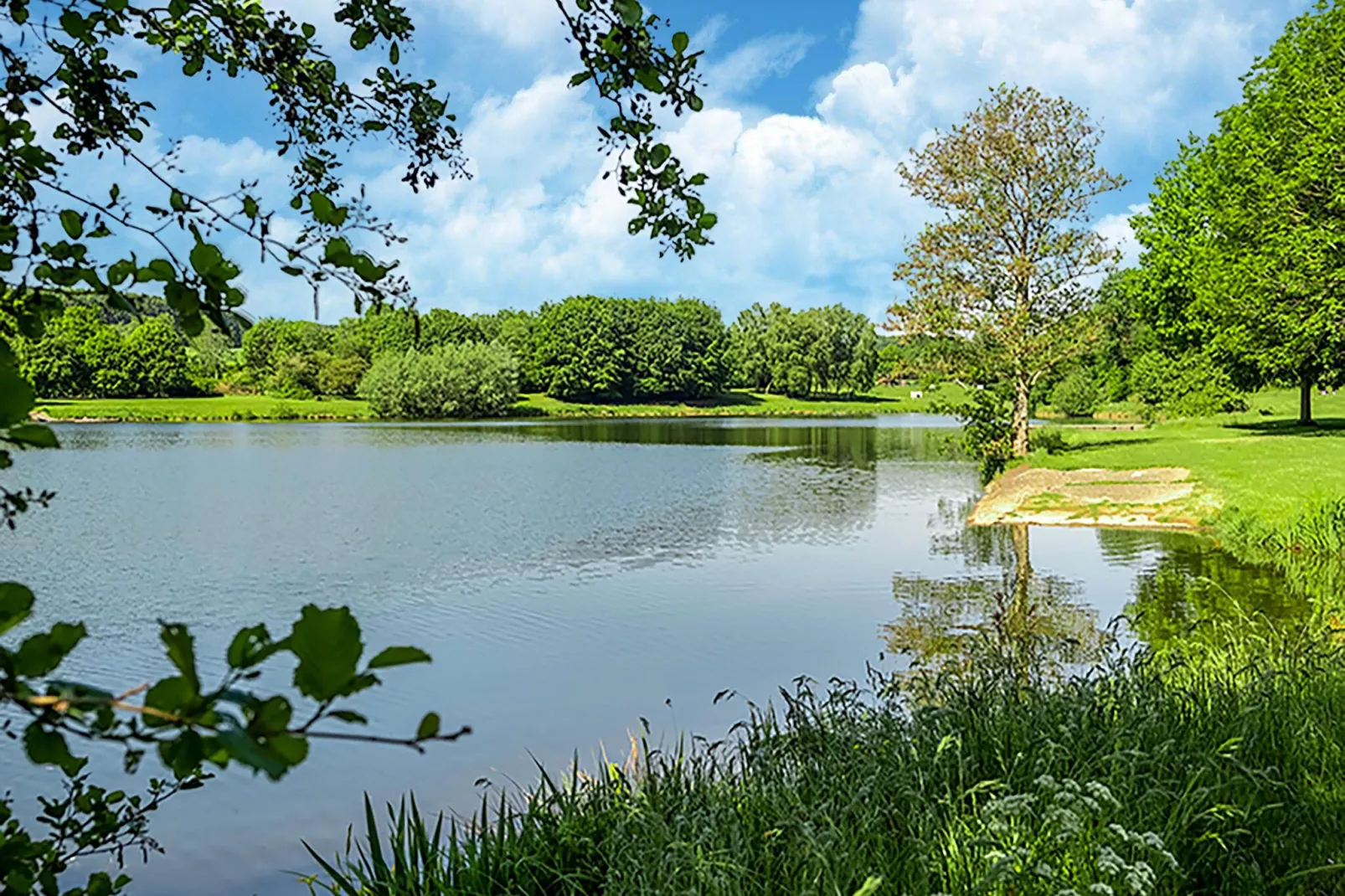 Vakantiehuis Museum Binsfeld-Gebiete Sommer 20 km