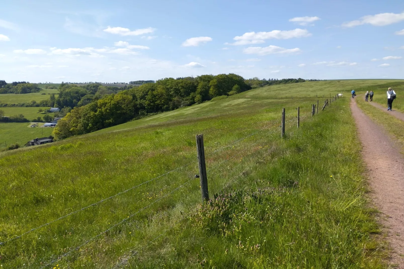 Ferienwohnung Winkel in der Vulkaneifel-Areas within 5km in summer
