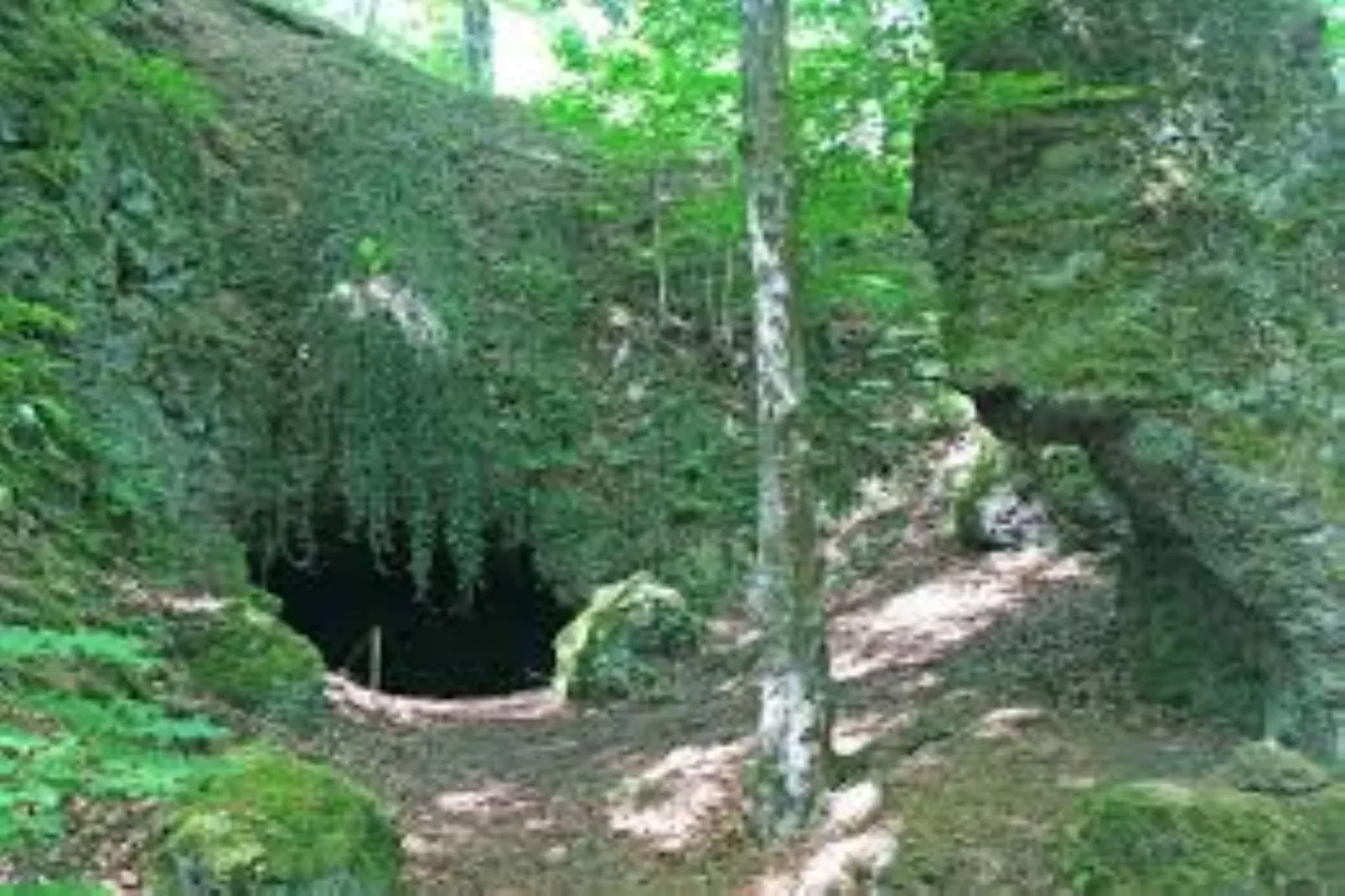 Ferienwohnung Winkel in der Vulkaneifel-Areas within 20km in summer