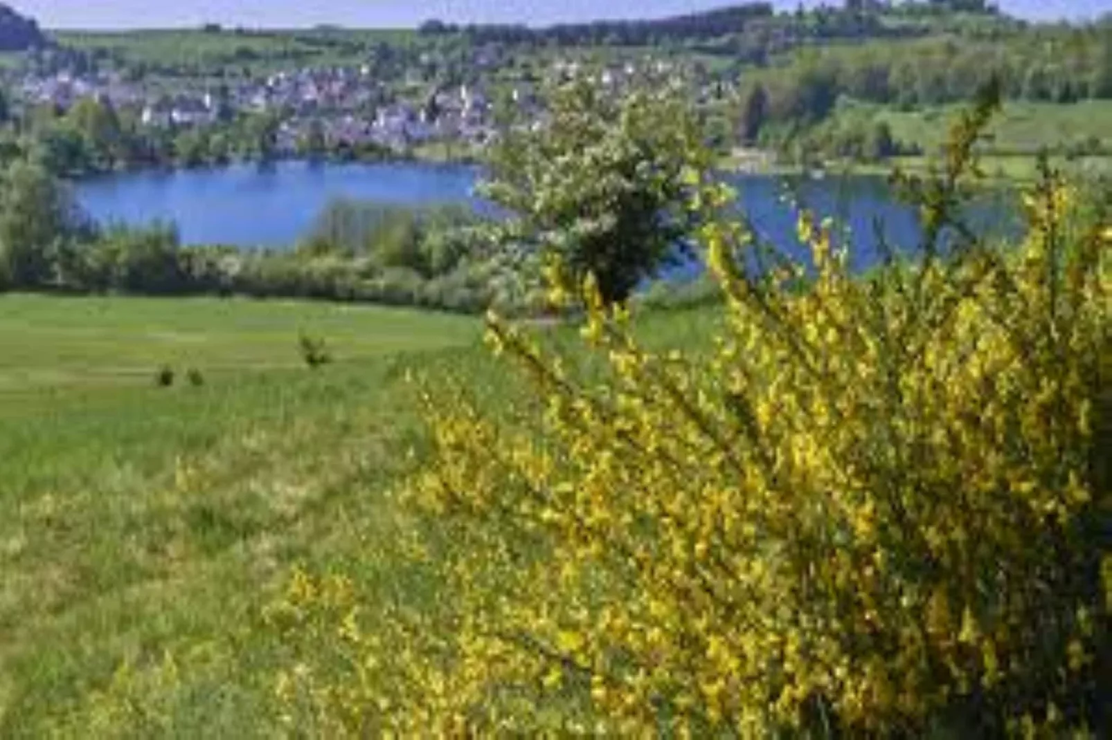 Ferienwohnung Winkel in der Vulkaneifel-Areas within 20km in summer