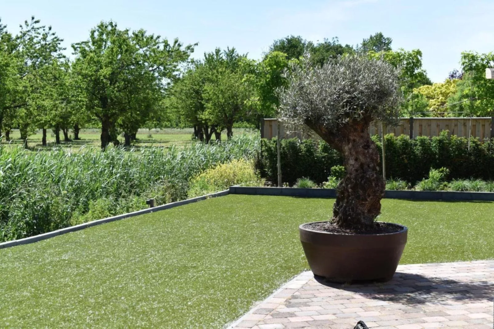 Villa Bosrijk-Gardens summer