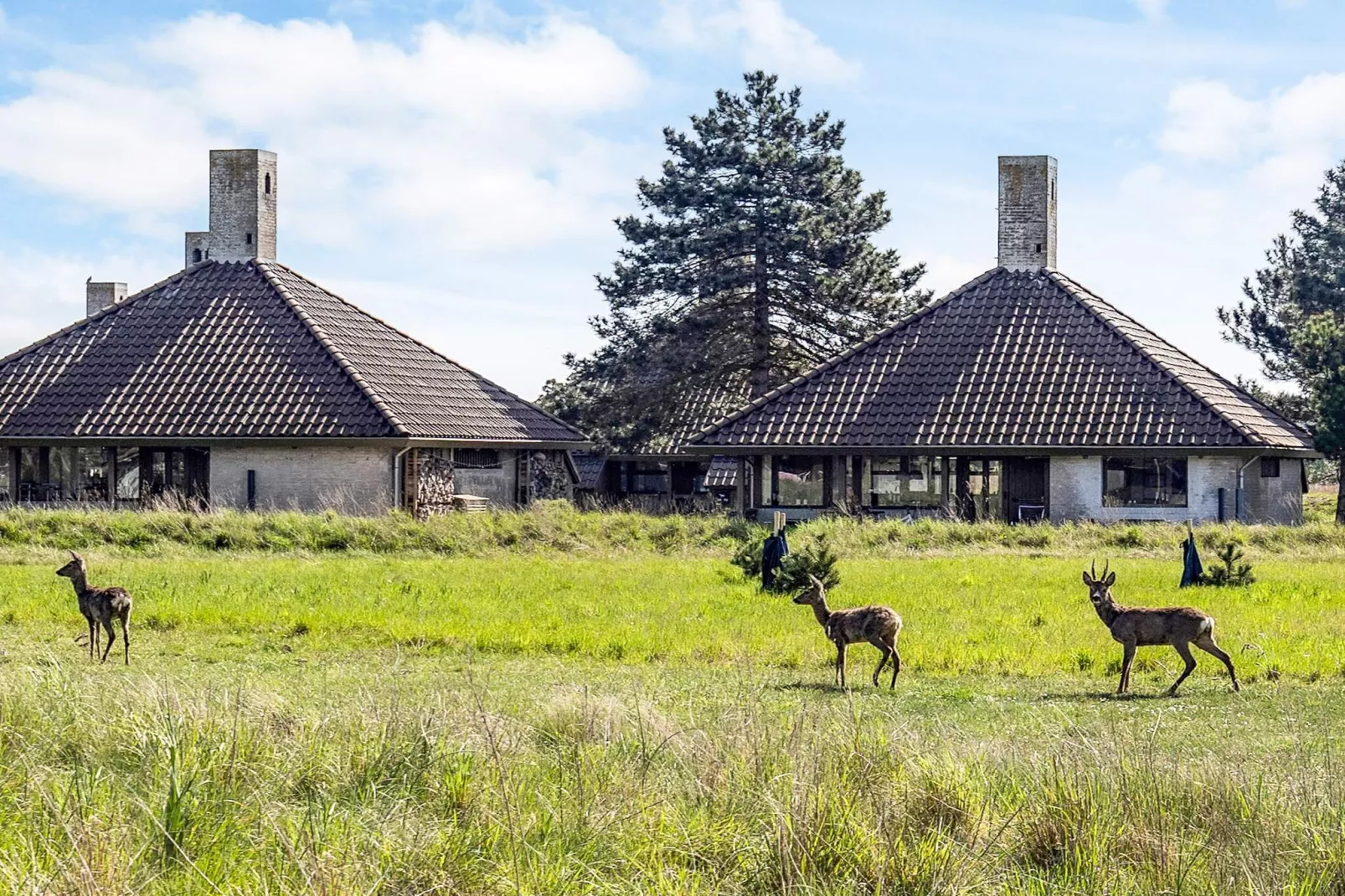 	3 roomPremium-Extérieur