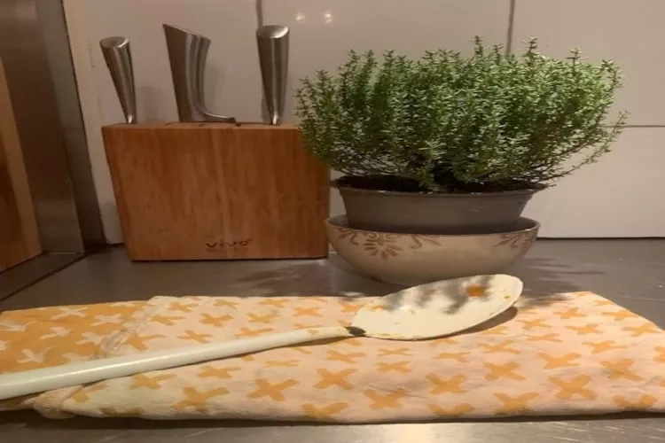 Huize Columbus-Ambiance