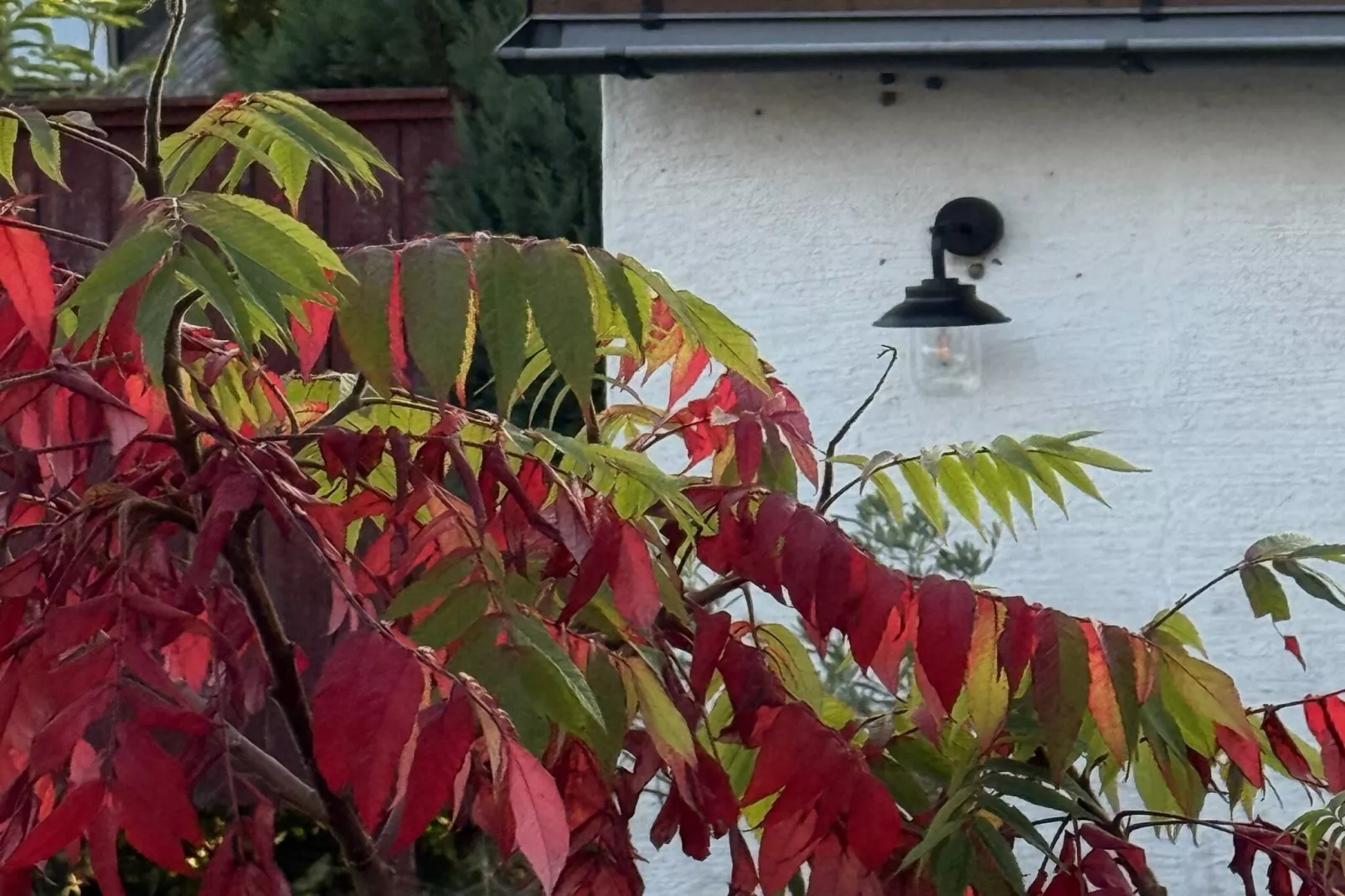 4 star holiday home in BORRBY