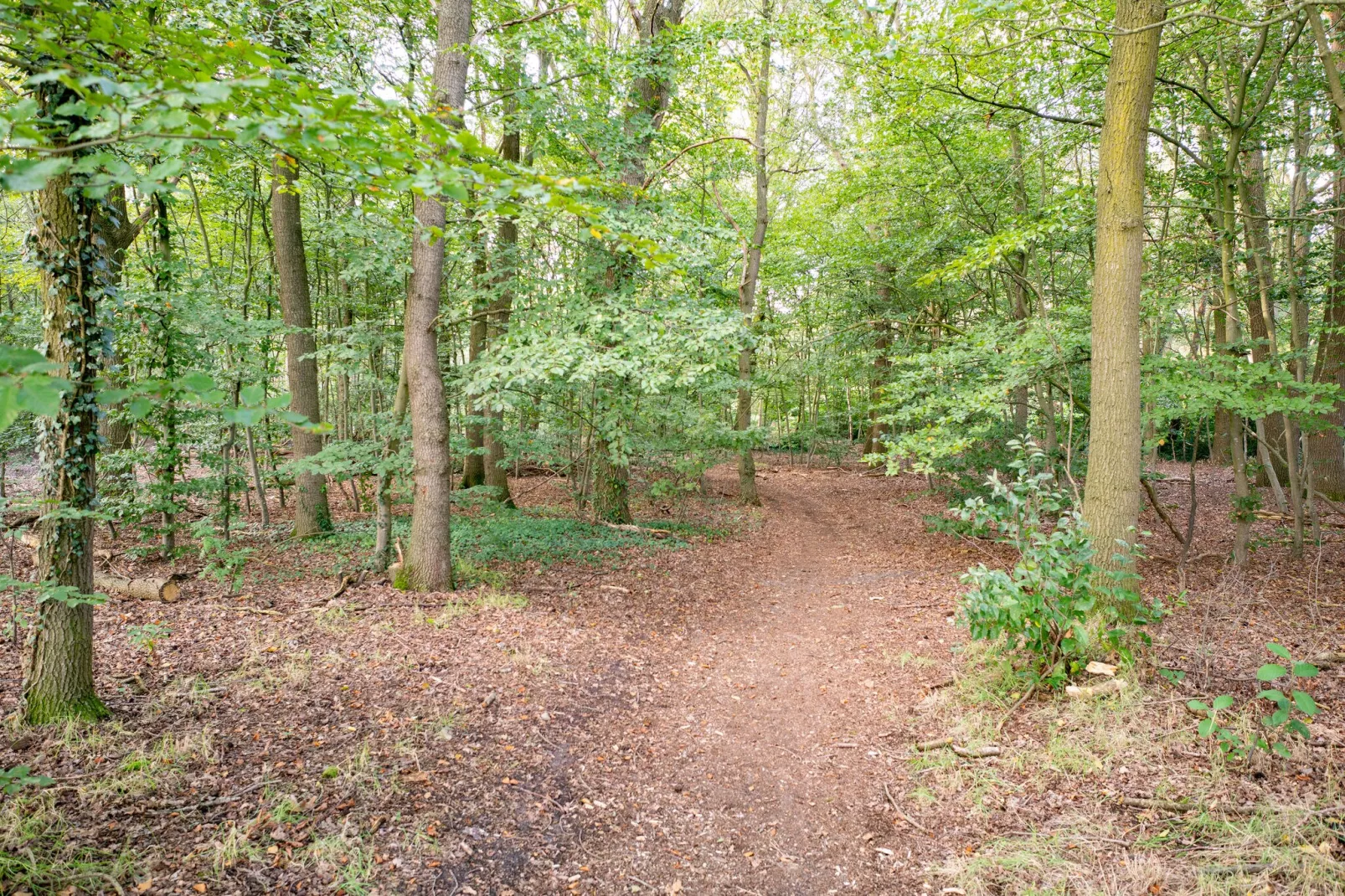 Boshuisje Elri-Gebiete Sommer 1 km