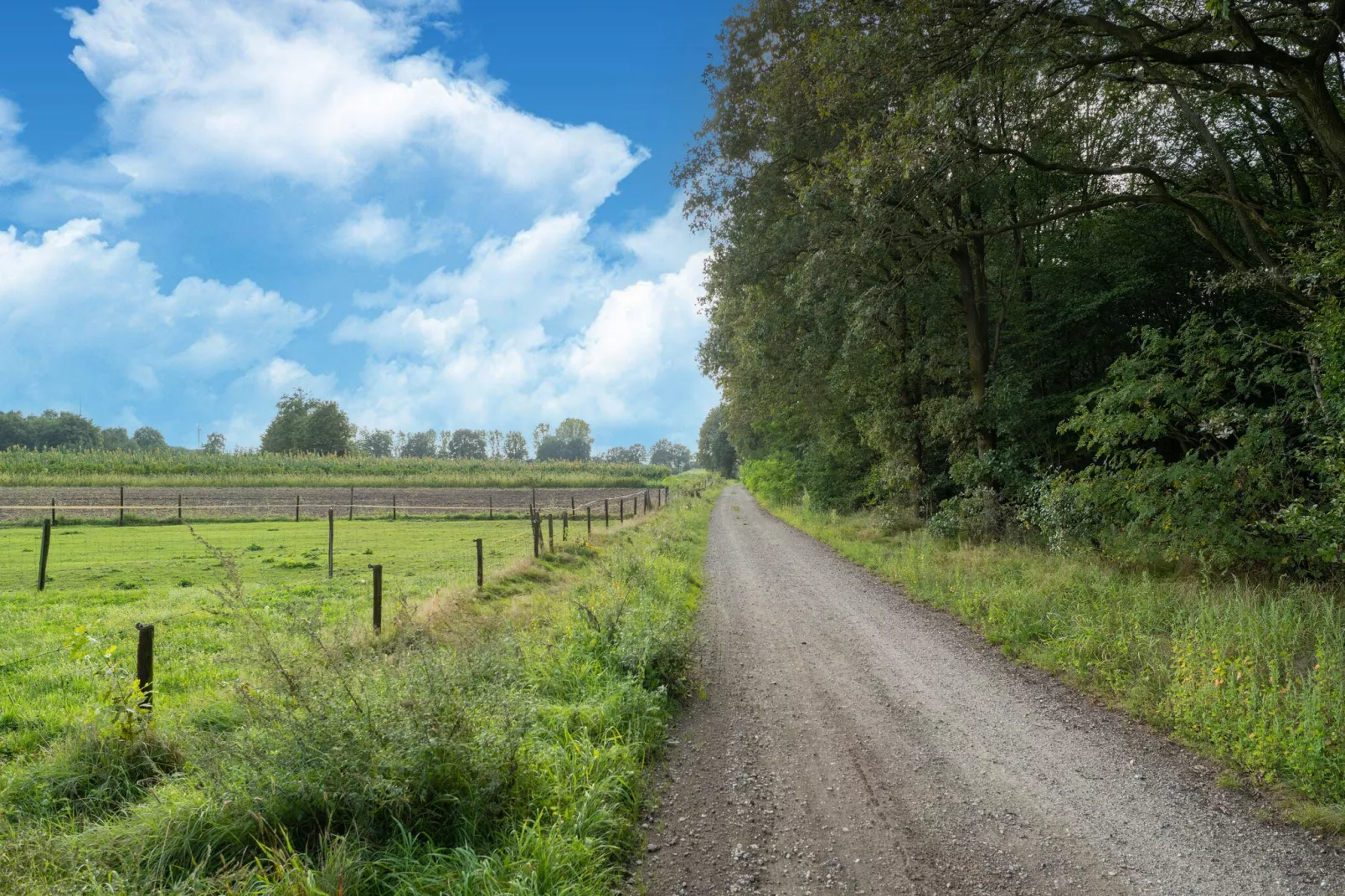 Boshuisje Elri-Gebiete Sommer 5 km