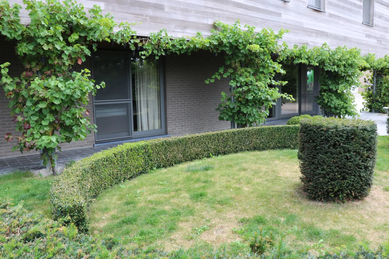 Bloesemhof-Garten Sommer