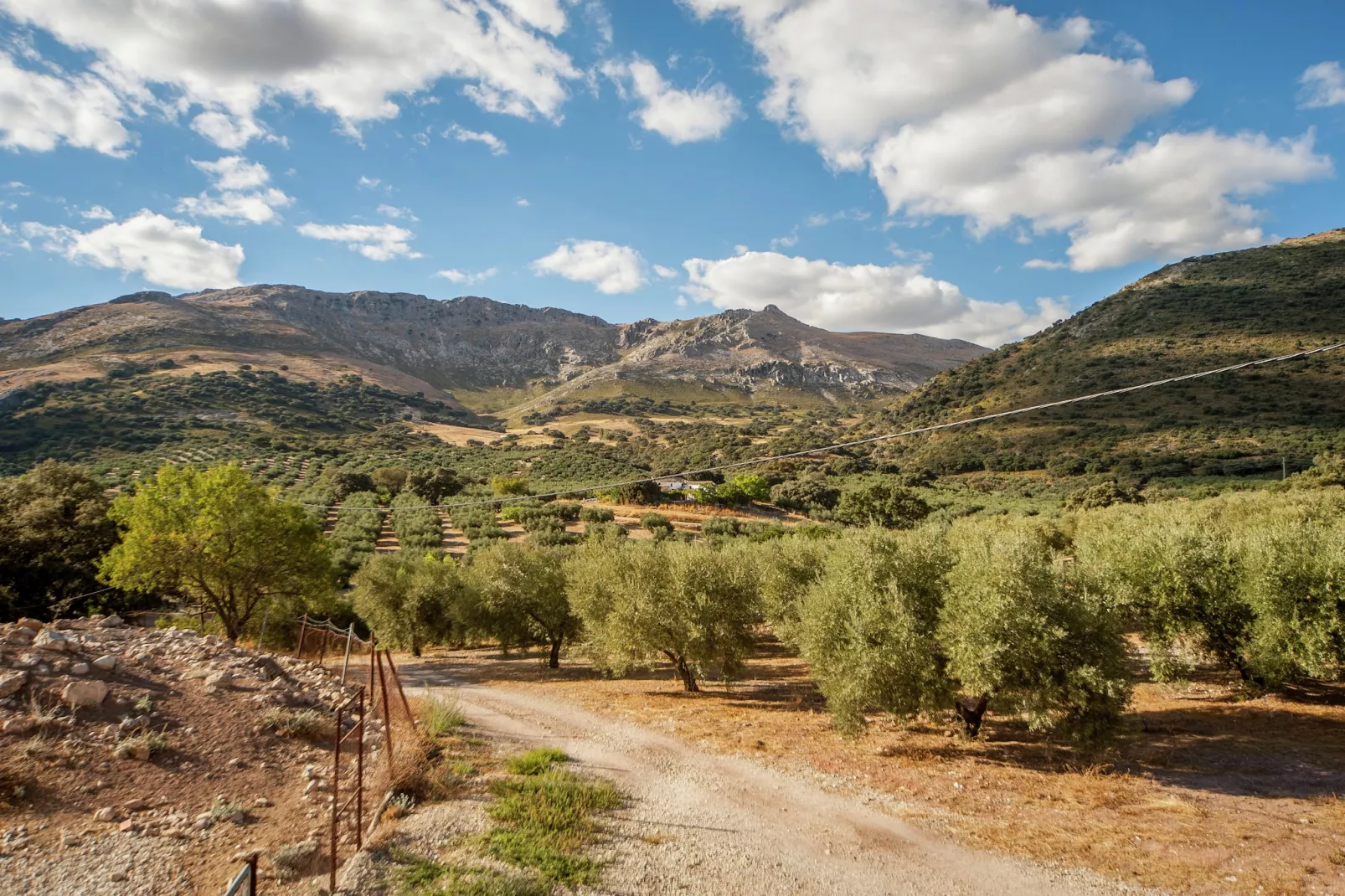 Cortijo El Llano-Gebiete Sommer 1 km