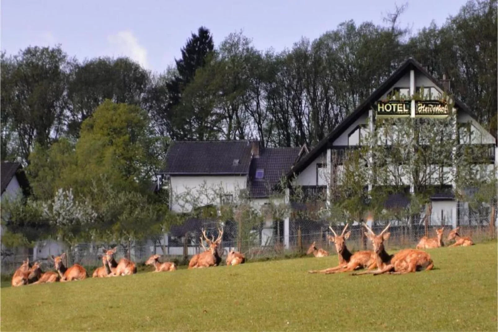 Heiderhof - Double Room-Ambiance