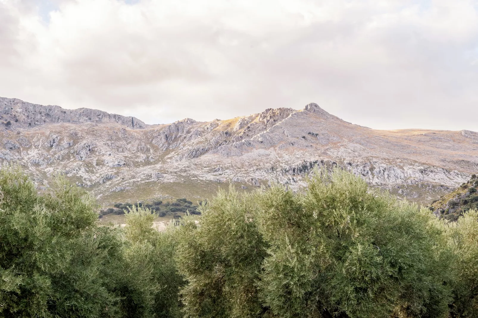 Cortijo El Llano-Gebiete Sommer 5 km