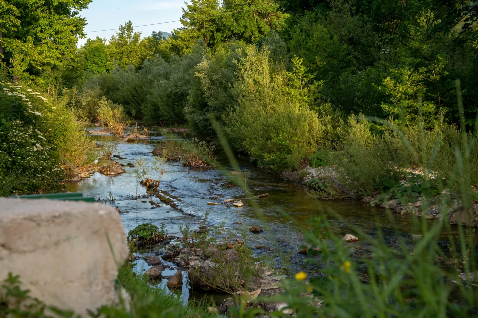 Villa Brusiana with covered heated pool-Zones été à 1 km