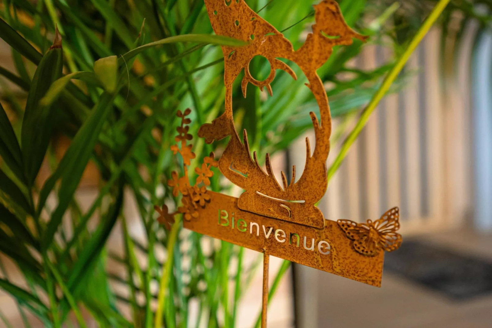 Appartement Spa Vip 2/3 - Ambiance