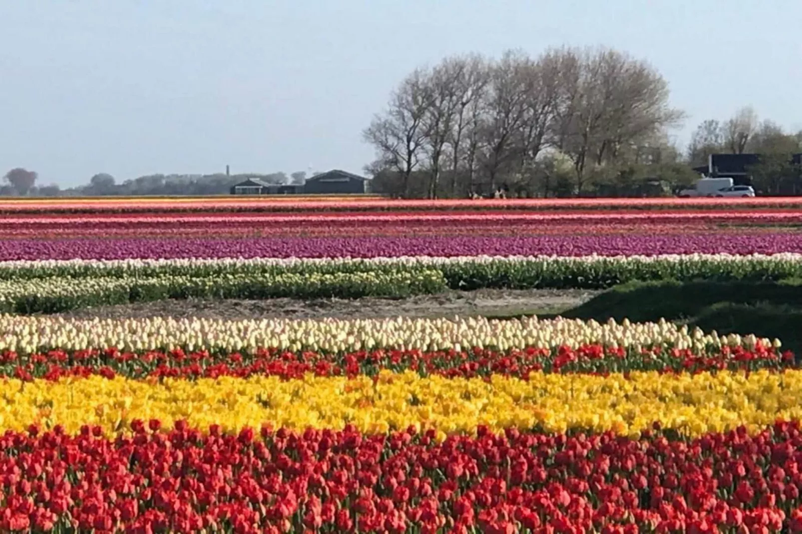 Ruyghe Hoeck 4-Aussicht Sommer