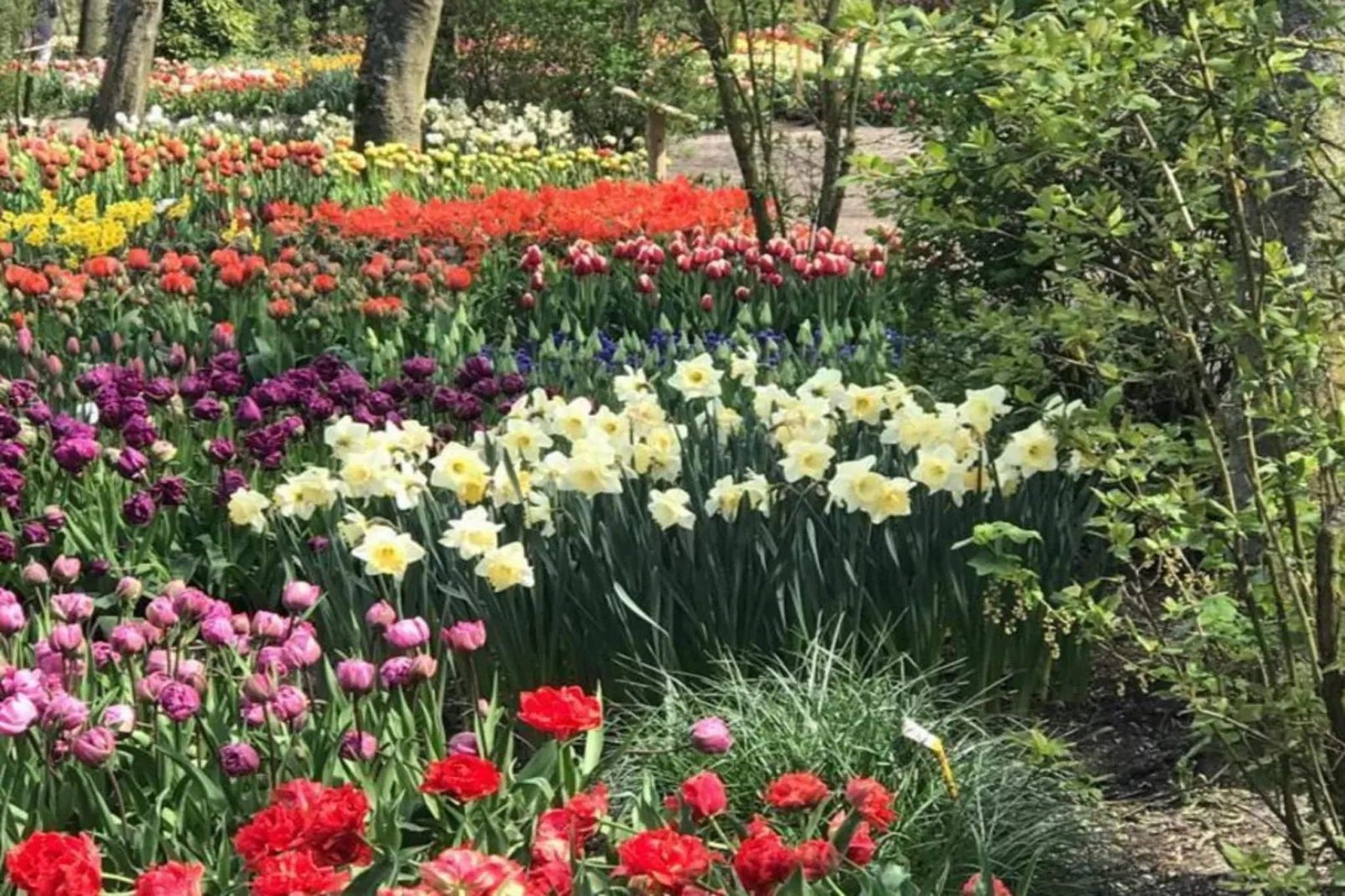 Ruyghe Hoeck 4-Ambiente