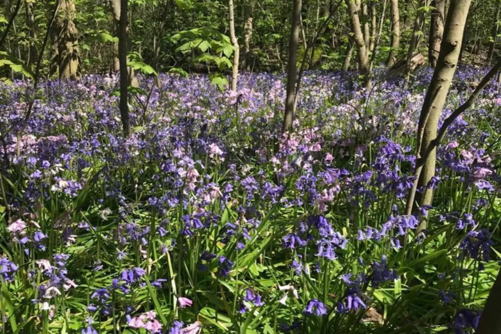 Ruyghe Hoeck 4-Ambiente