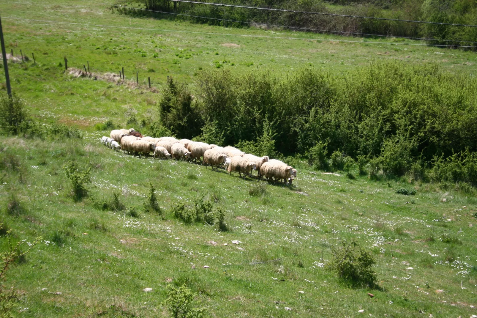 Pertinace-Aussicht Sommer
