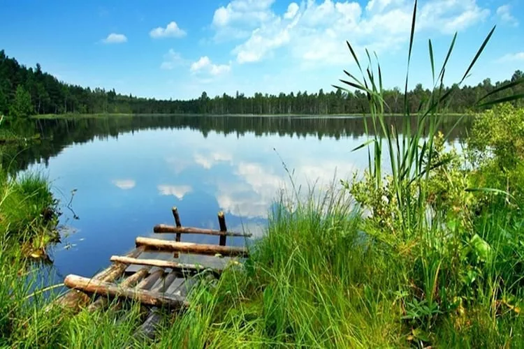 Domki wakacyjne z basenem i jacuzzi Osieki-Gebiete Sommer 1 km