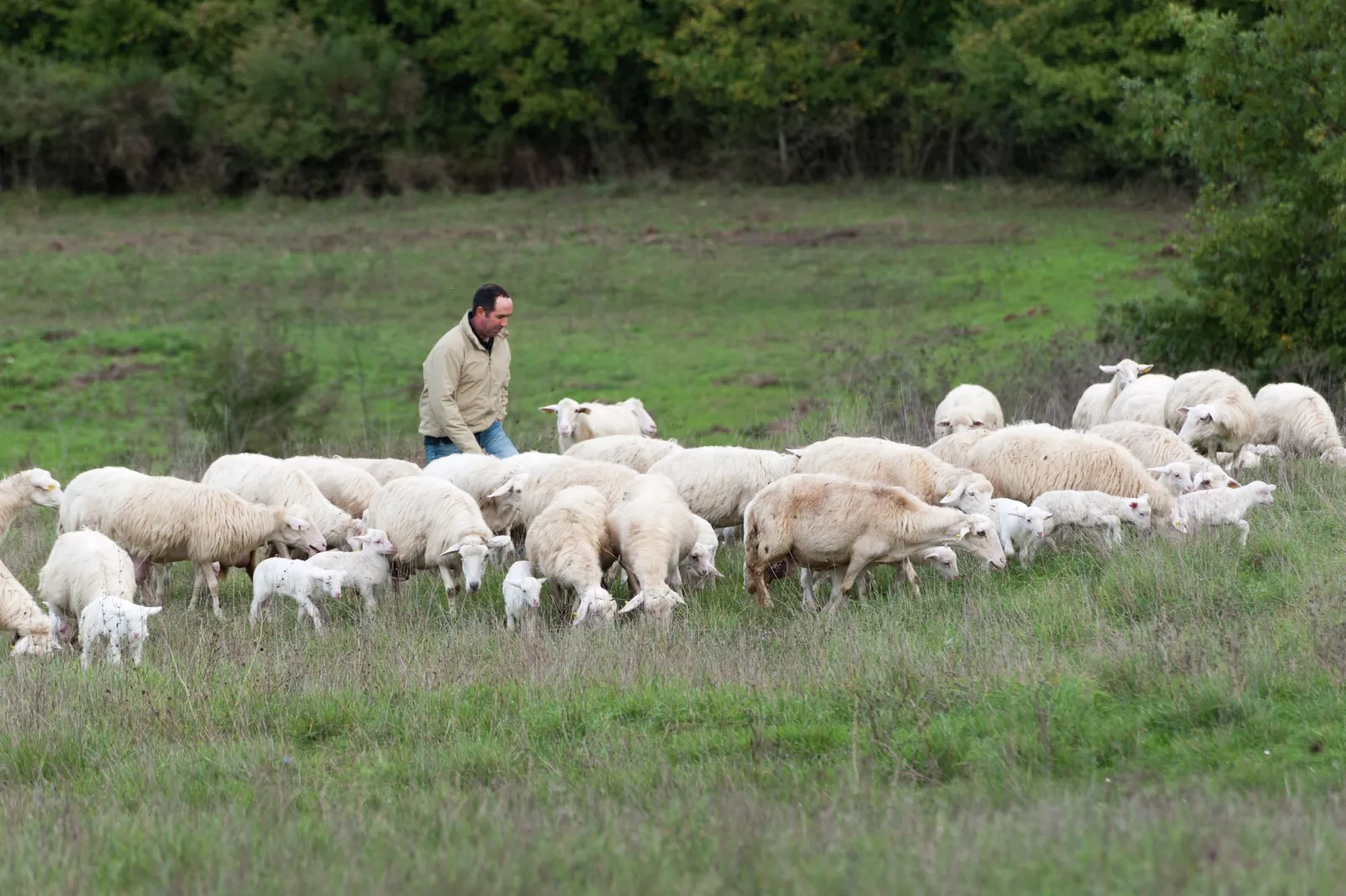 Tito-Gebiete Sommer 1 km