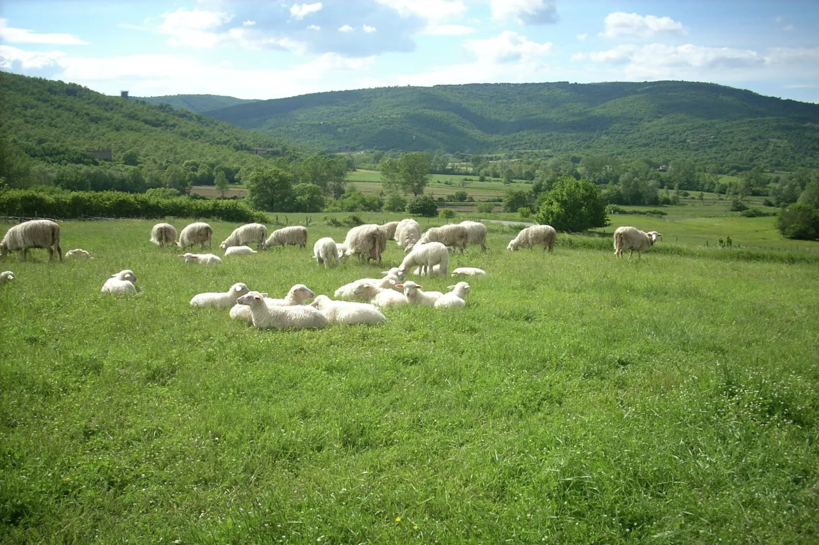Giulio Cesare-Zones été à 1 km