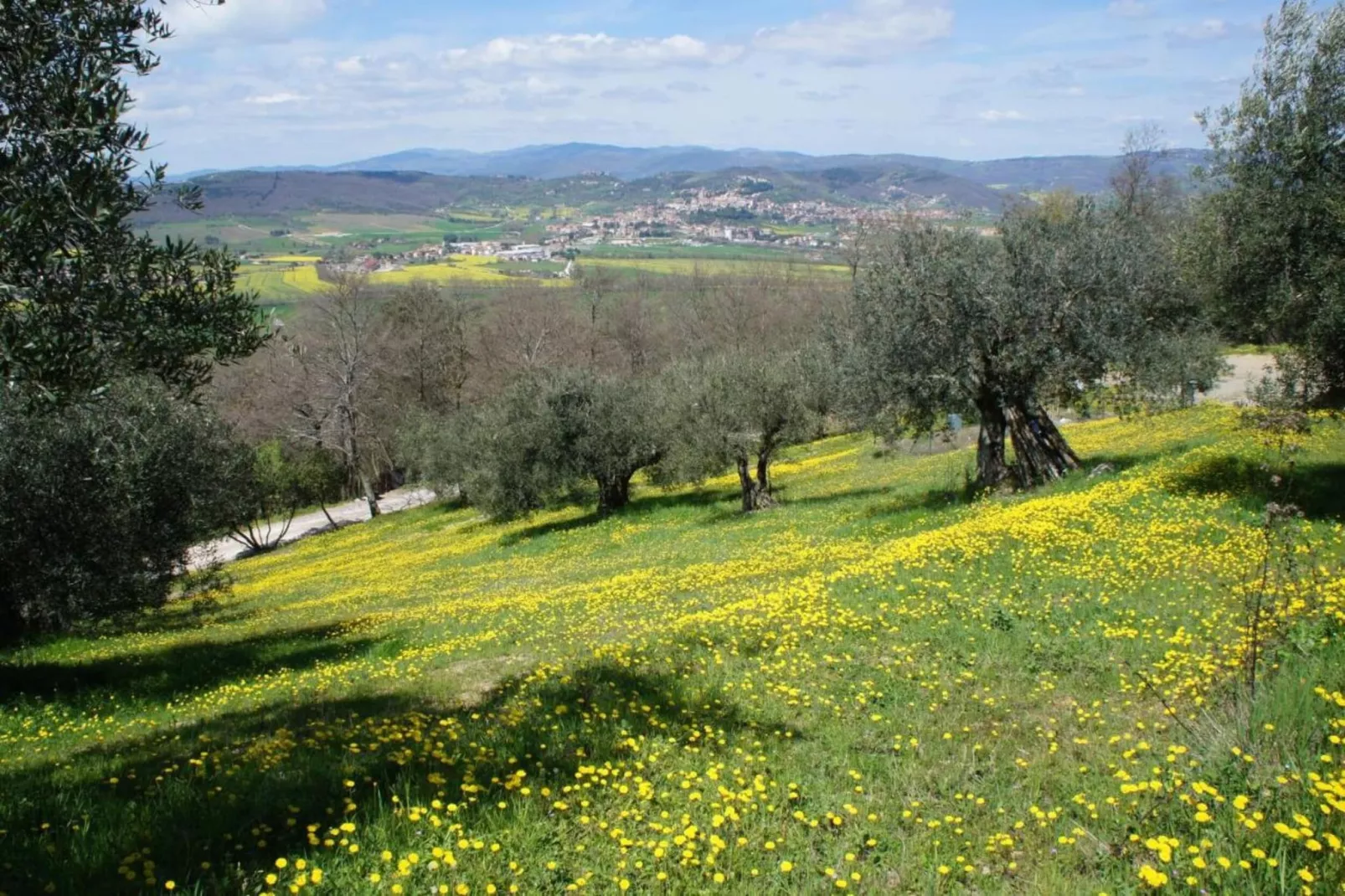 Tito-Gebiete Sommer 20 km