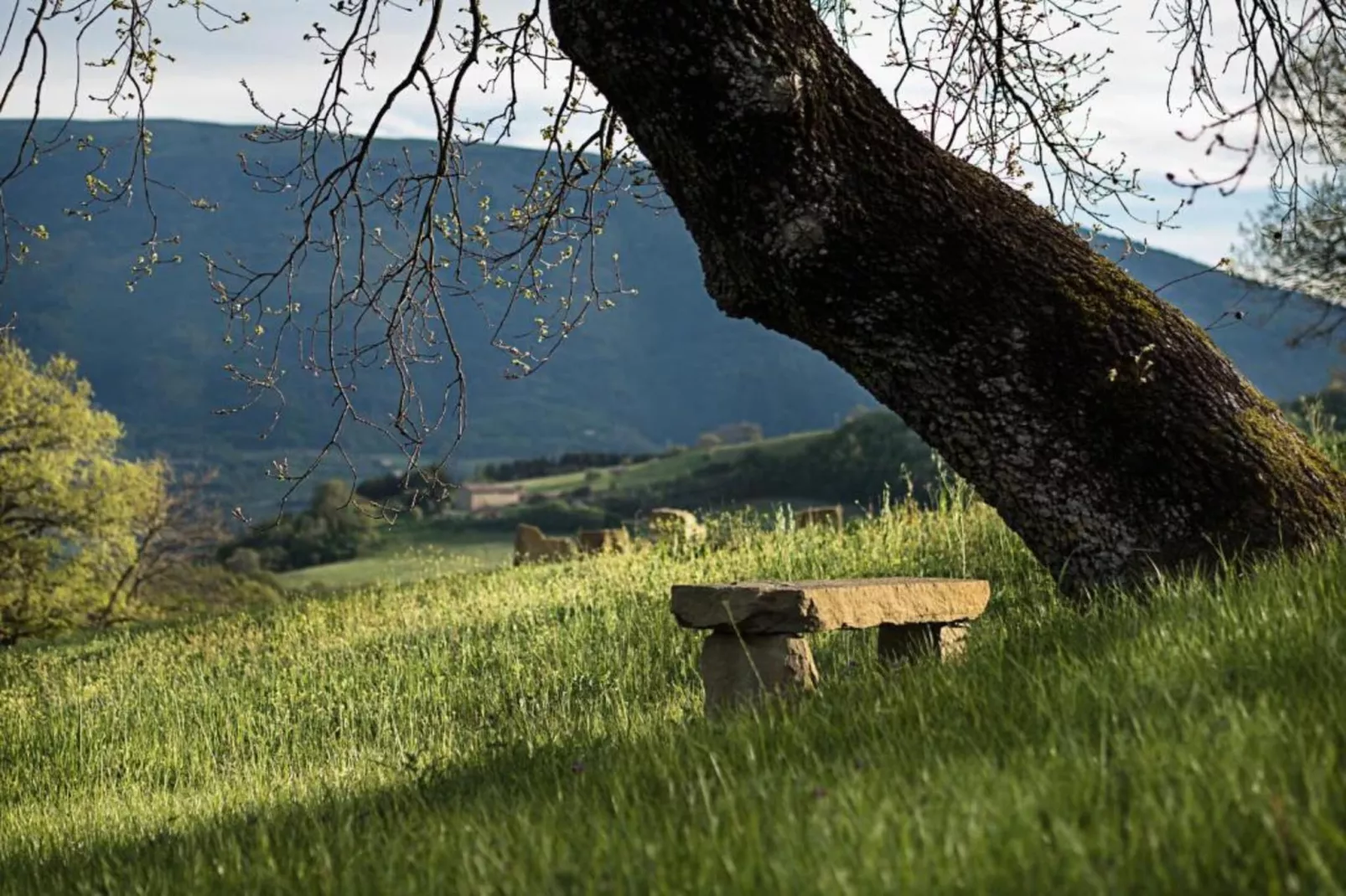 Nerone-Gebiete Sommer 20 km