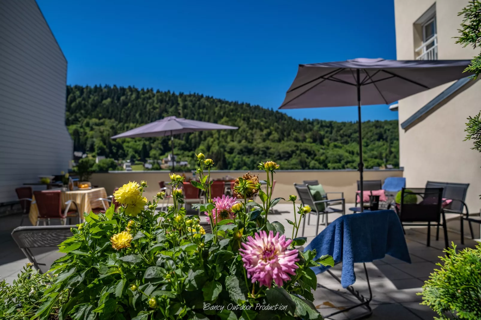 Villa Les Dahlias - Le Mont Dore 14pers - Terrace