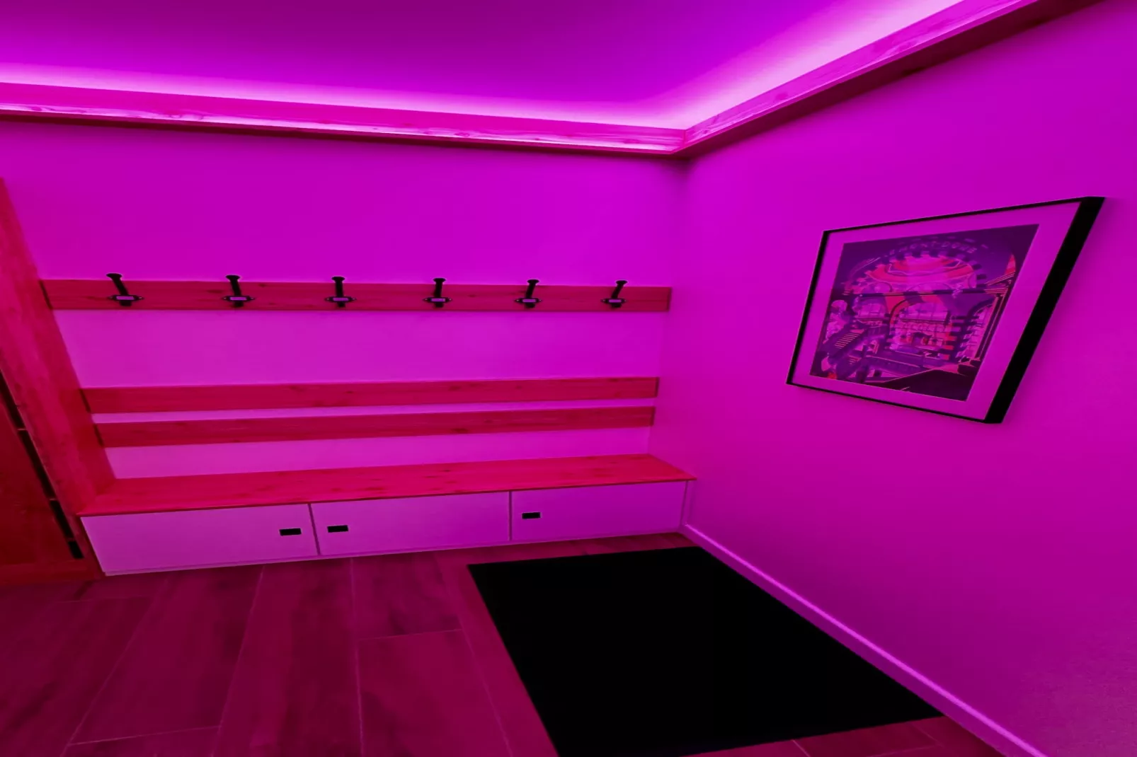 Le Refuge des Skieurs - Hall / réception