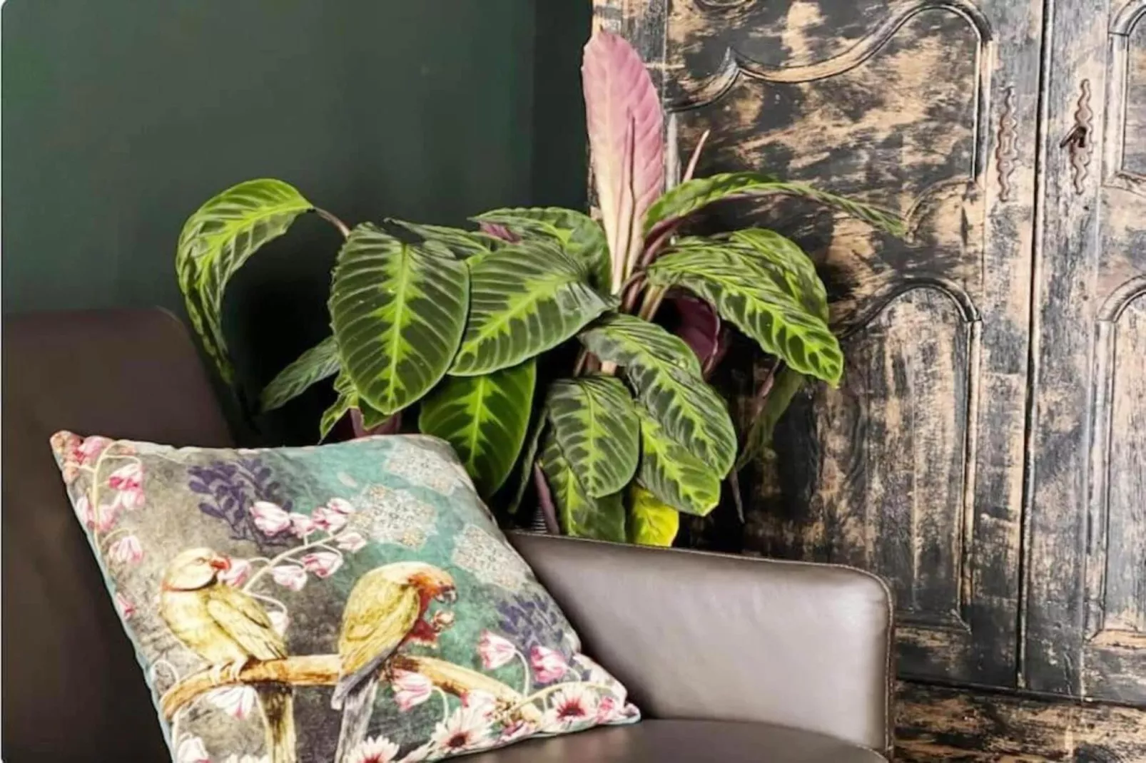 Le Bovary-Wohnzimmer