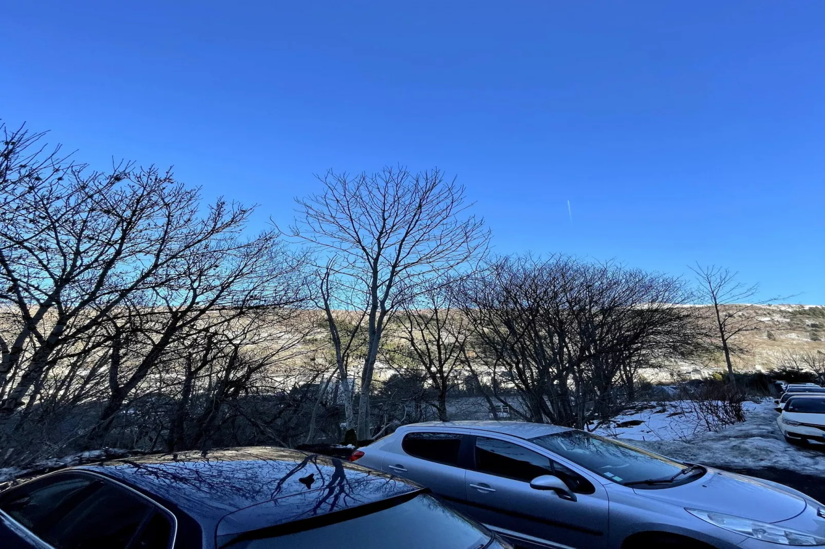 La Féessence boisée - 2/4 pers - Vue d'hiver