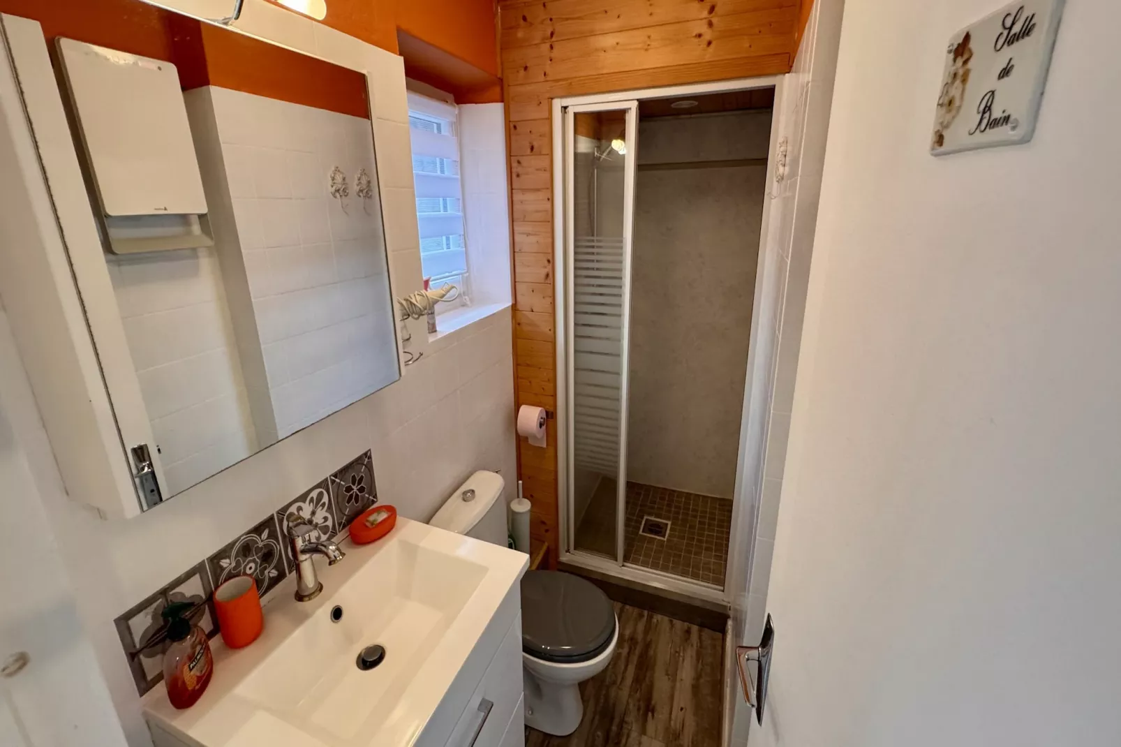 Le Myosotis Le Mont Dore 4pers - Salle de bain
