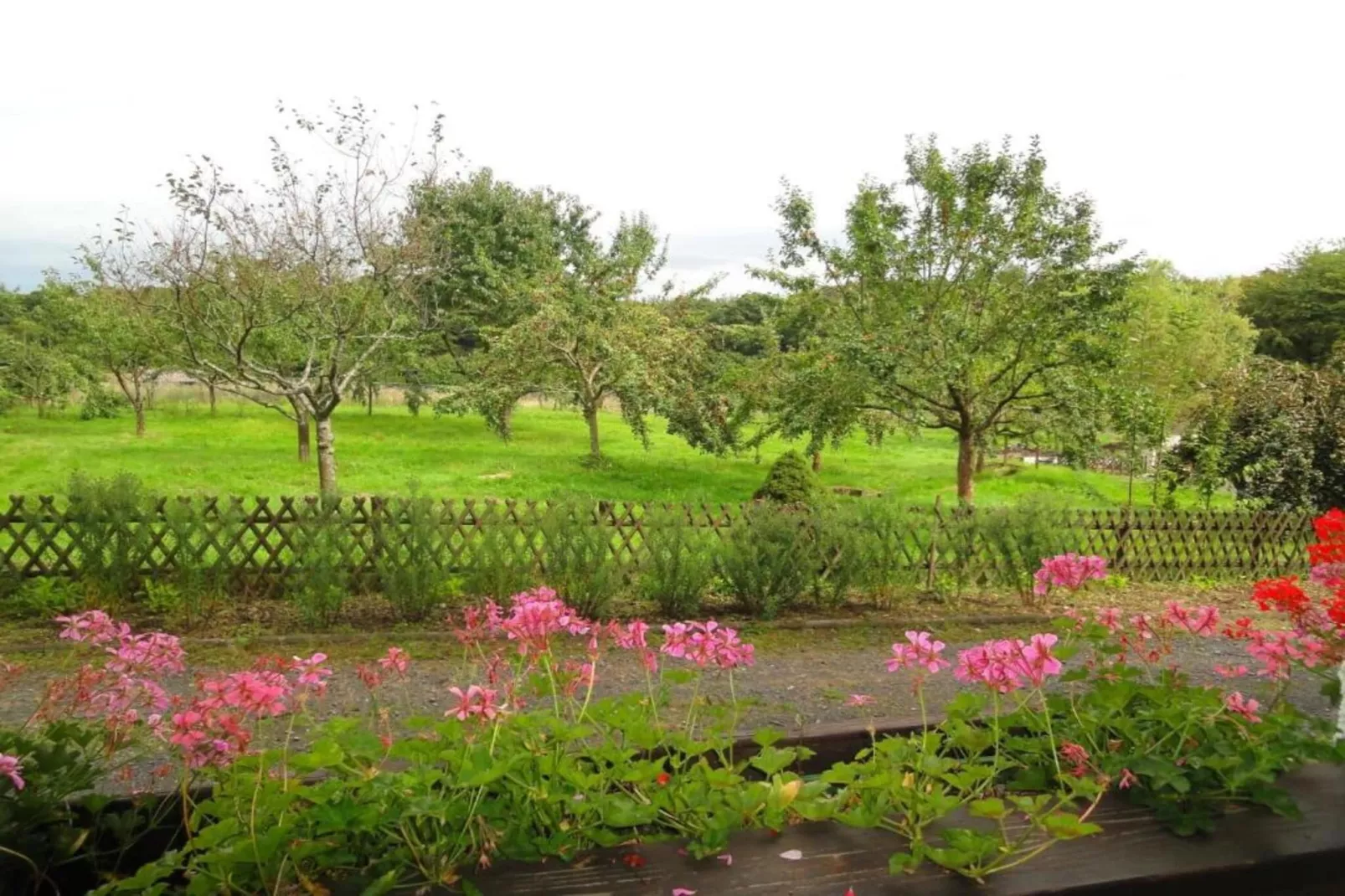 Heiderhof - Triple Room-Vue d'été