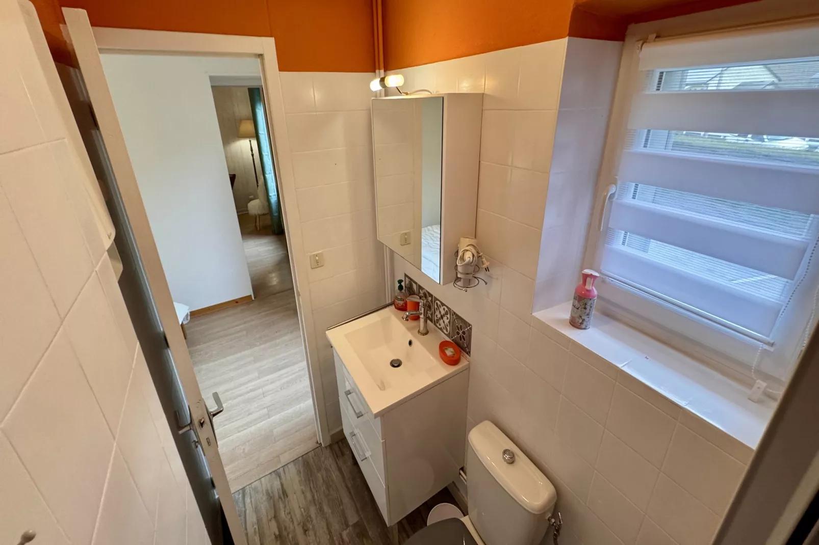 Le Myosotis Le Mont Dore 4pers - Salle de bain