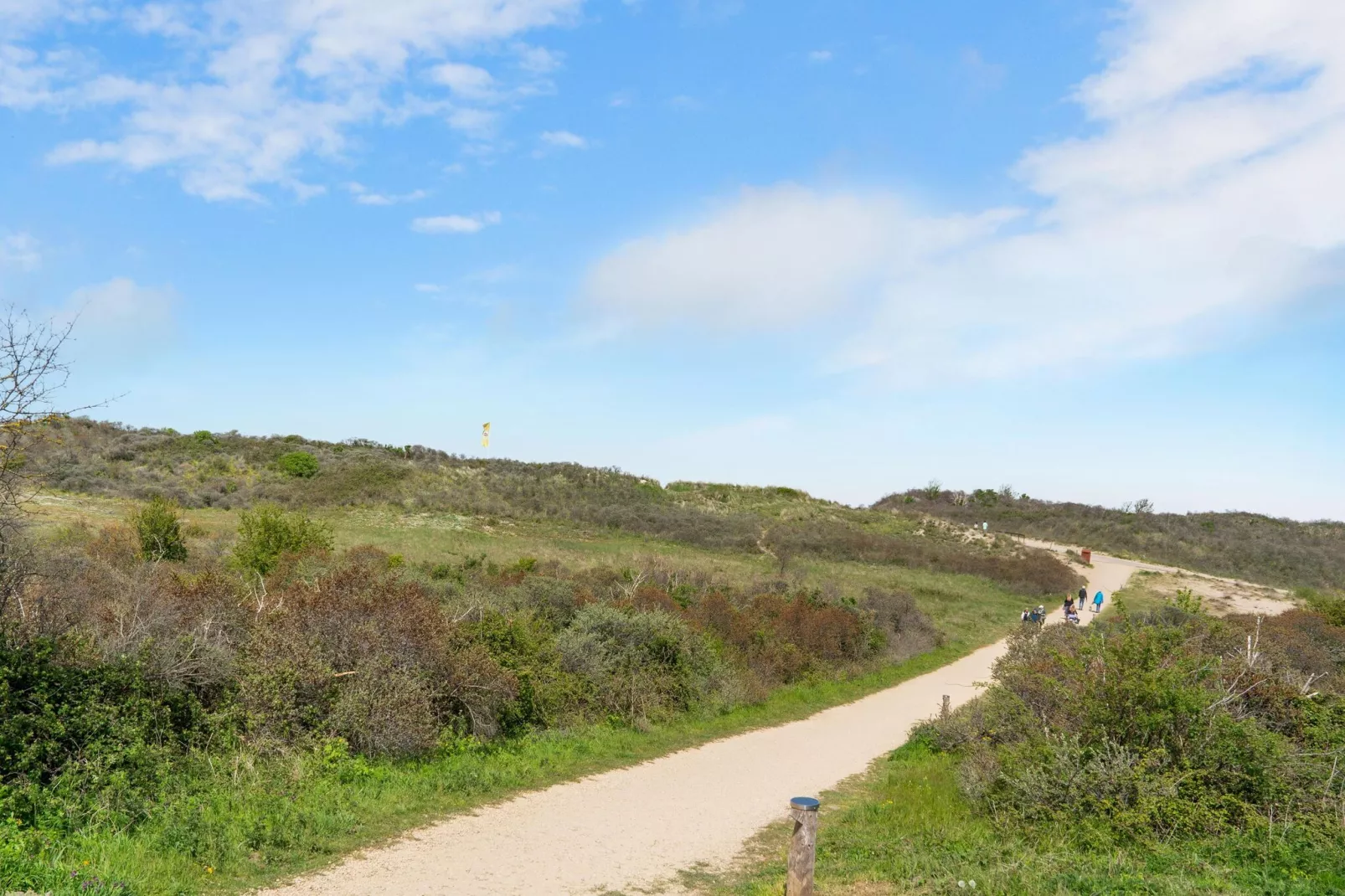 Fantail-Areas summer 1km