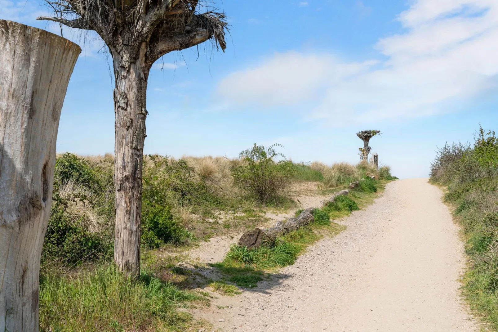 Fantail-Areas summer 5km