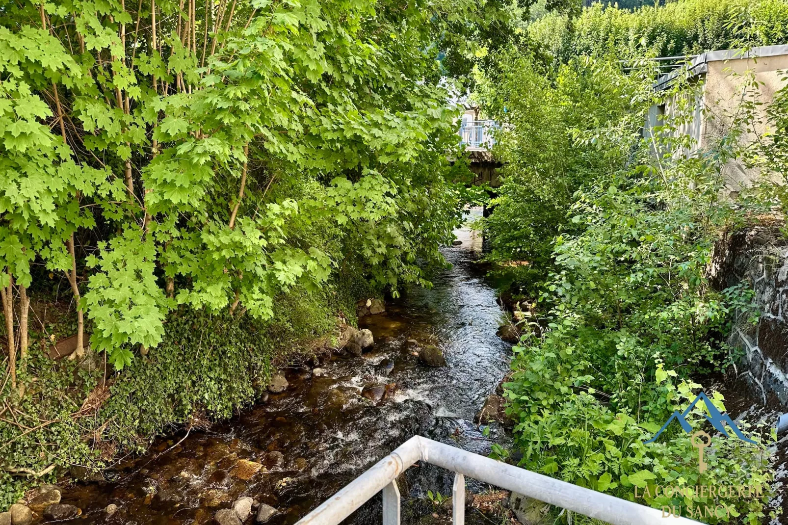 La Rive Gambetta La Bourboule 4 pers-Im Freien