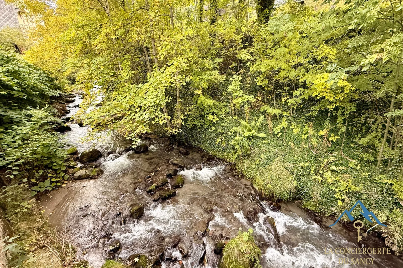 La Cabane des Sources Le Mont Dore 2pers-Extérieur
