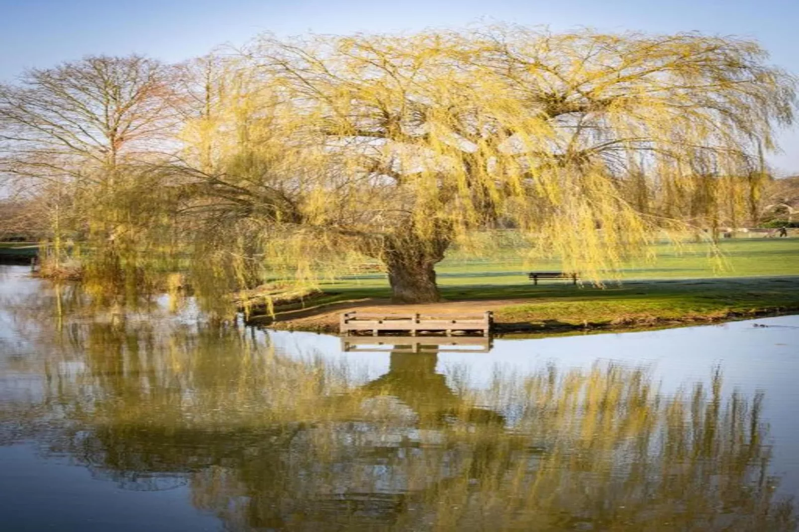 The Warren - Areas within 20km in summer