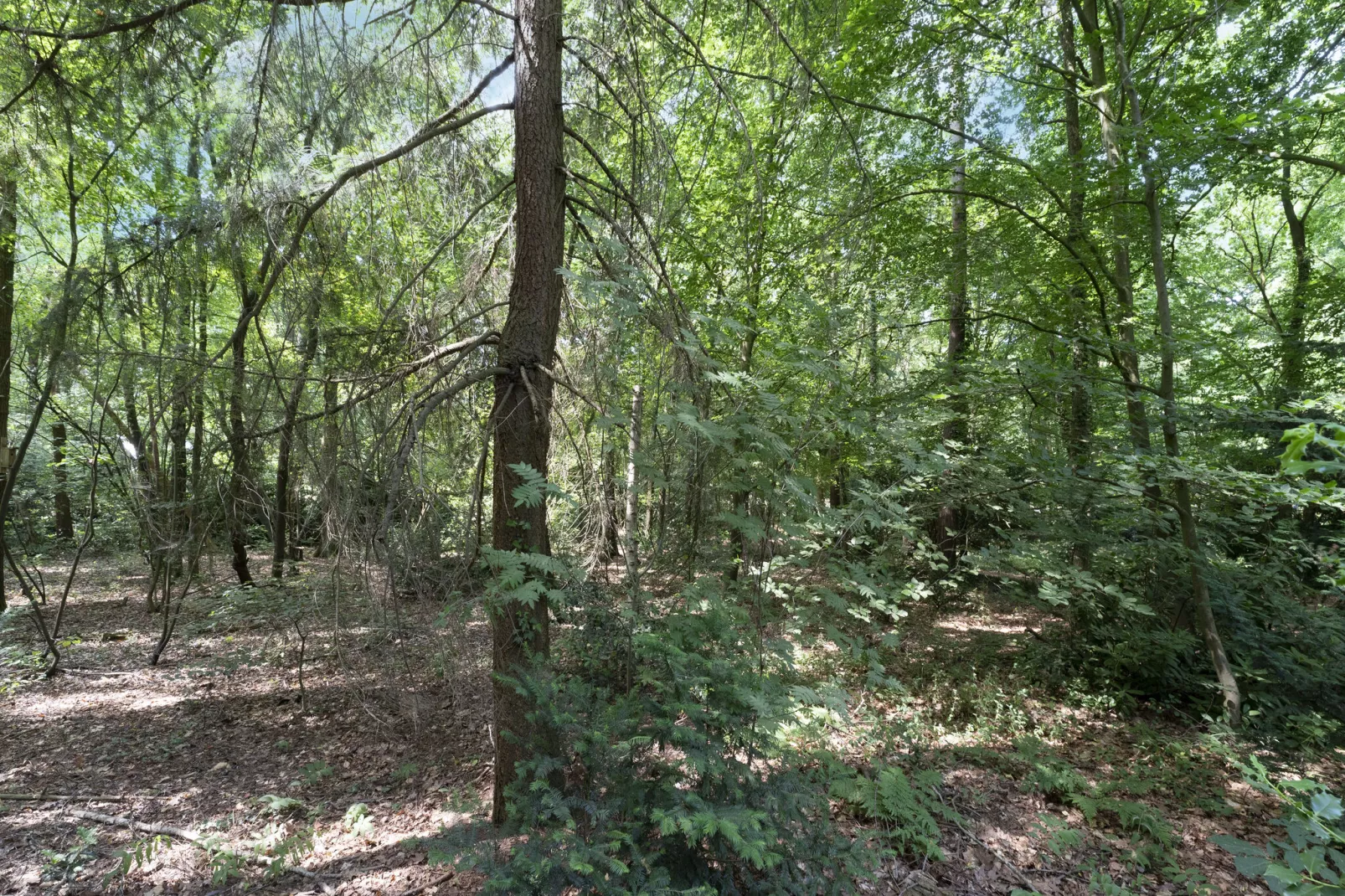 Bungalow Epse-Areas summer 1km