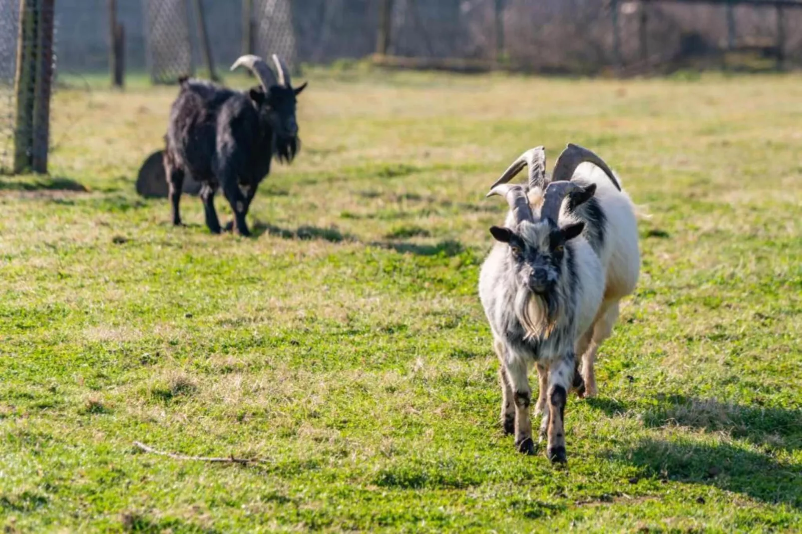 Heiderhof - Family Room for 4 person-Zones été à 1 km