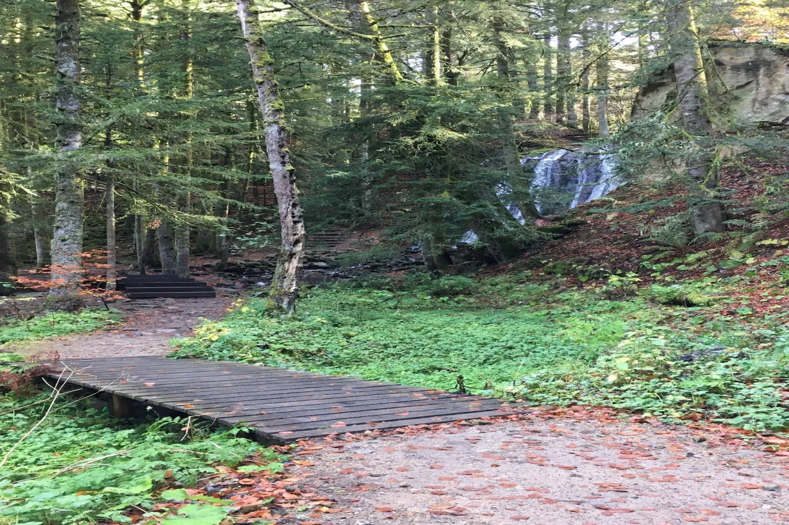 Le Buisson - 4pers Mont Dore Centre - Areas within 5km in summer