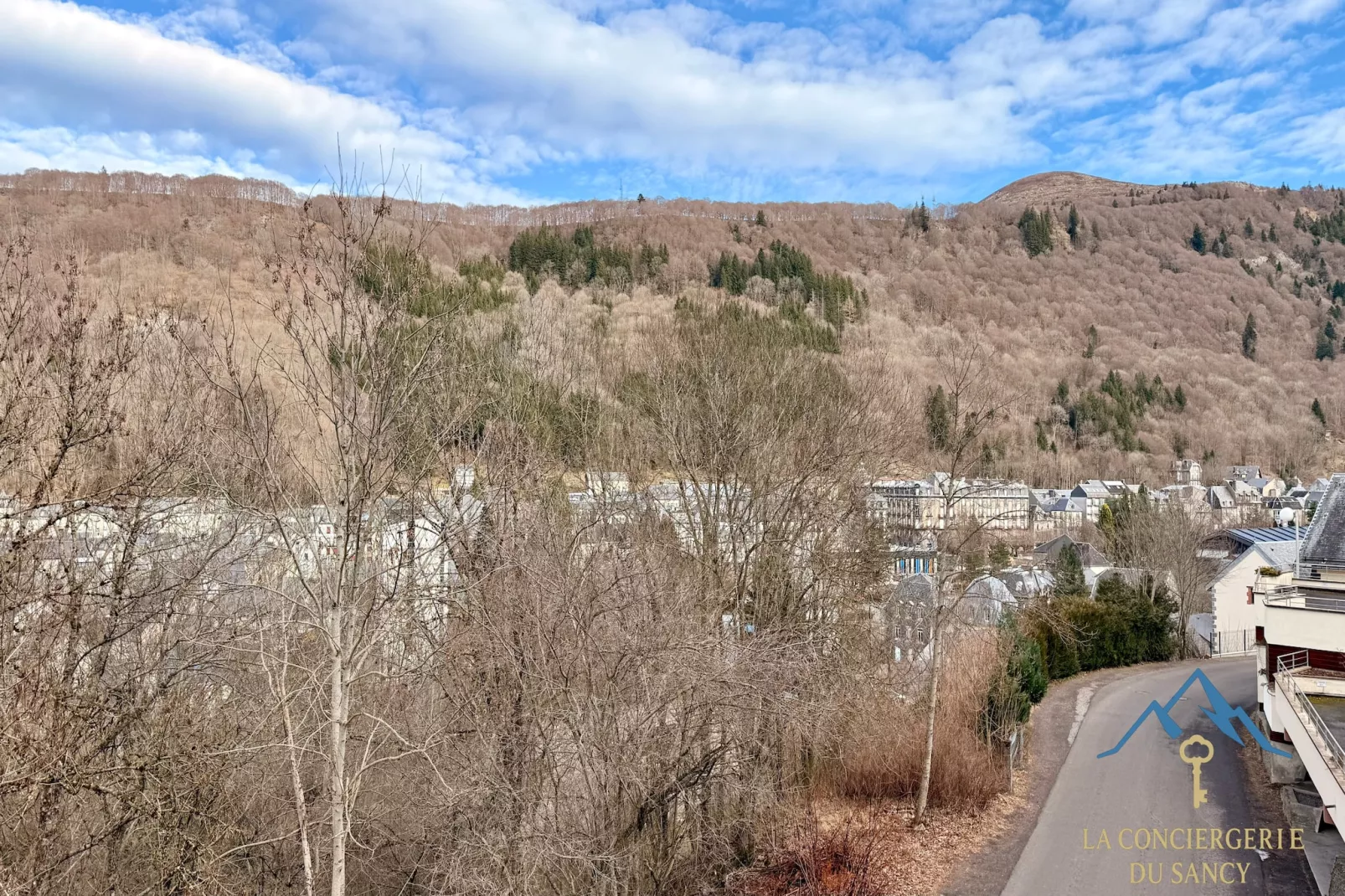 Le Capucine 4 Le Mont Dore 4/6 pers - Im Freien