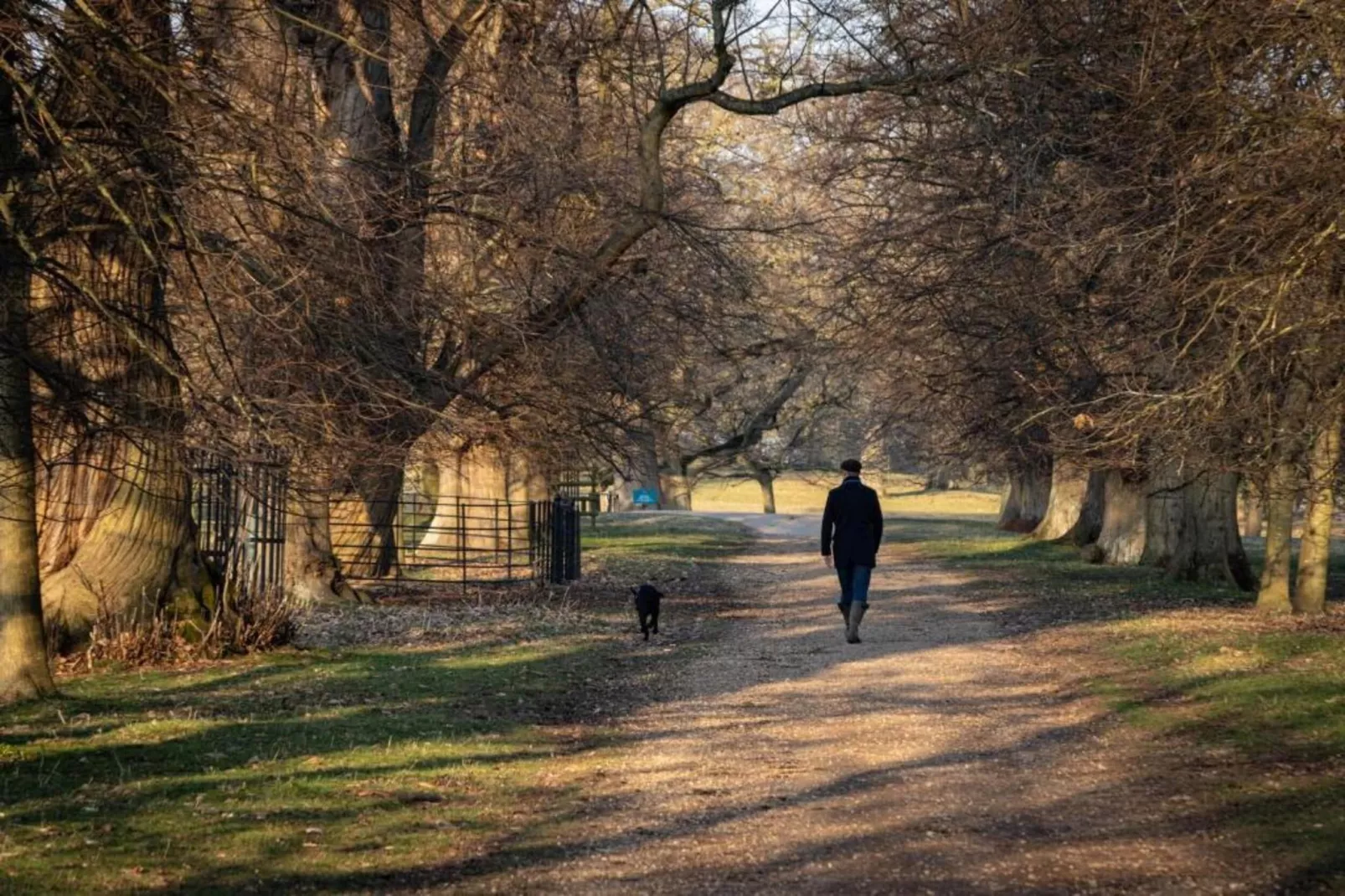 The Sett - Areas within 20km in summer