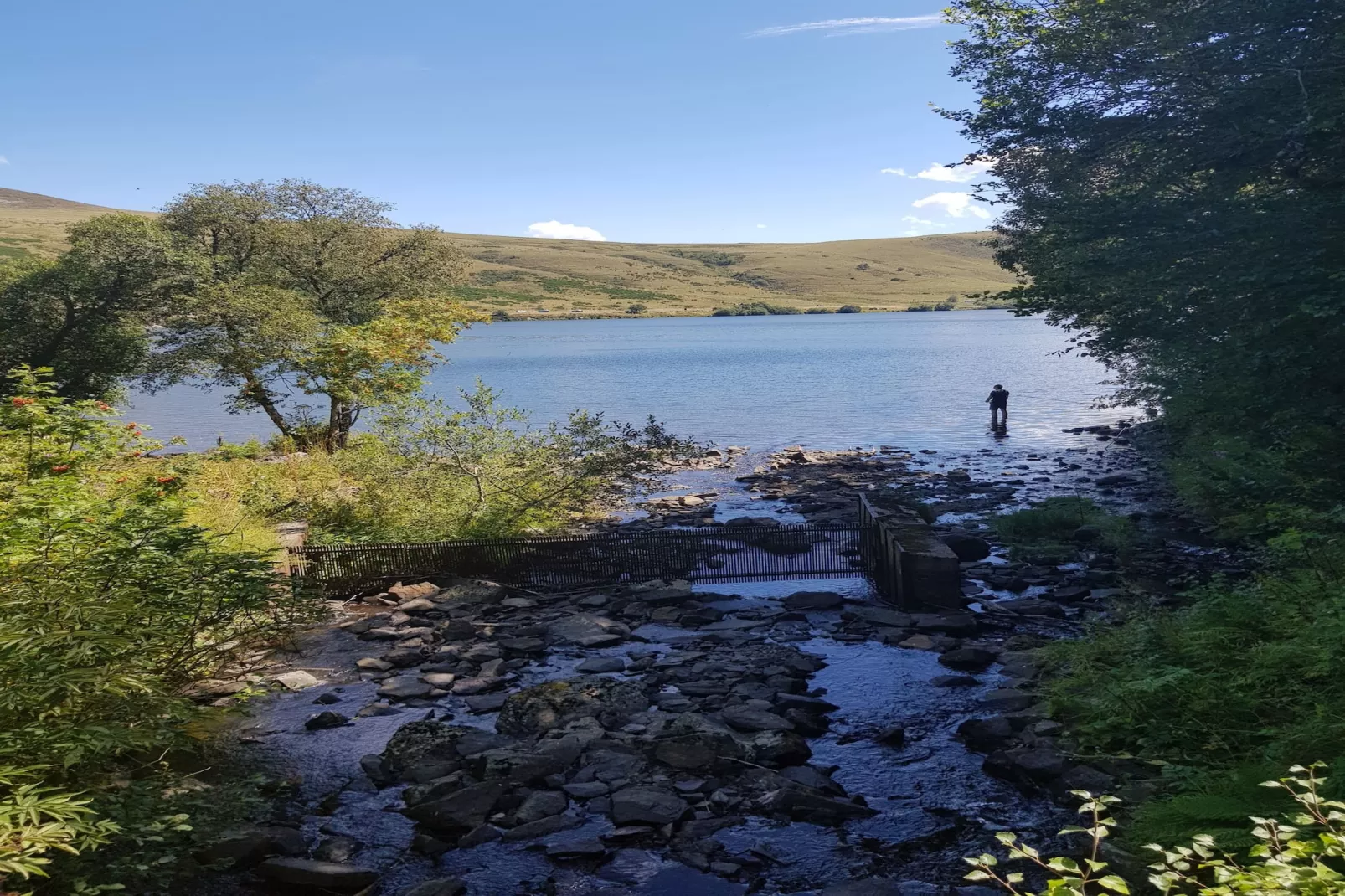 Le Buisson - 4pers Mont Dore Centre - Areas within 5km in summer