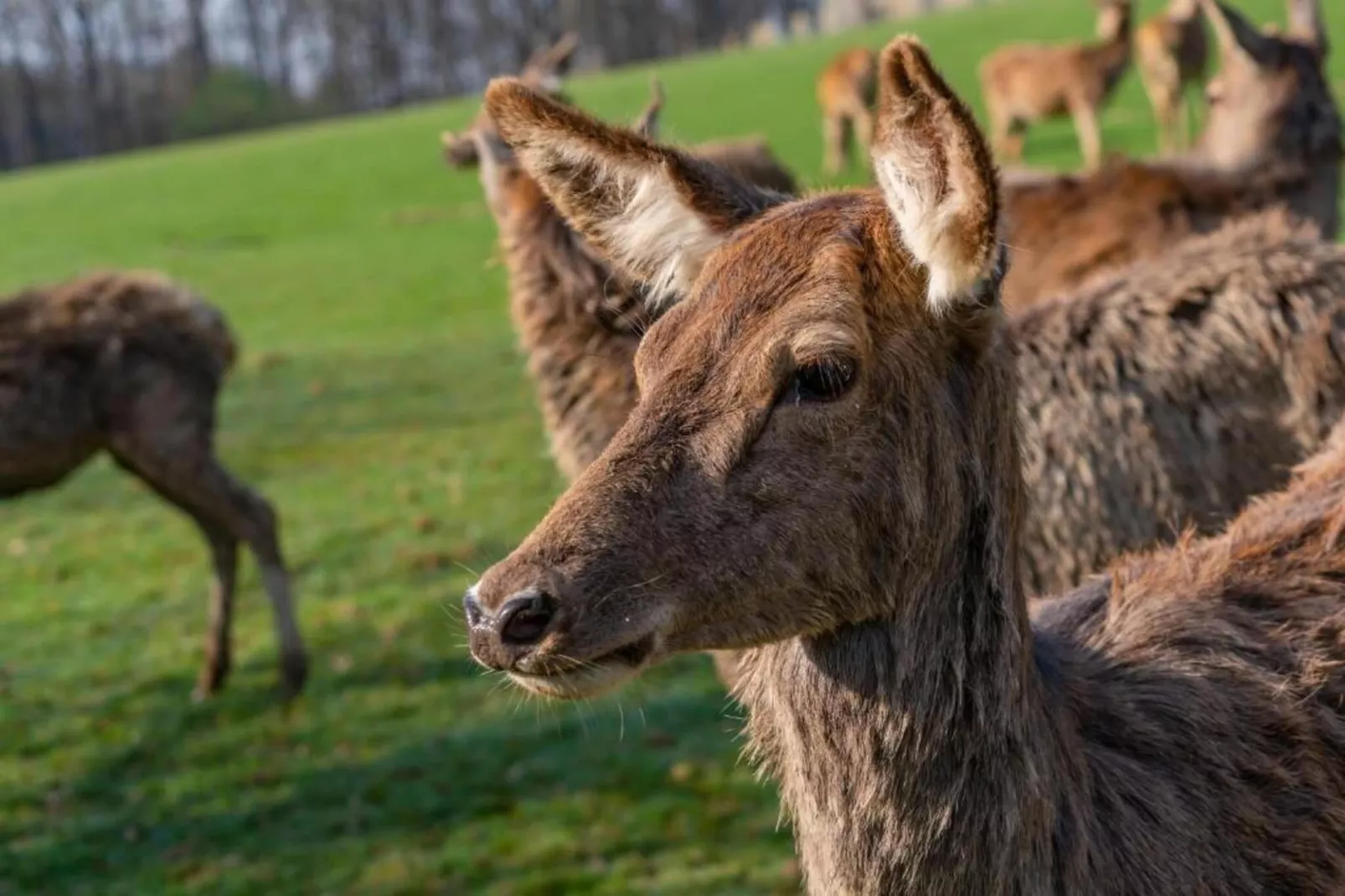 Heiderhof - Triple Room-Ambiance