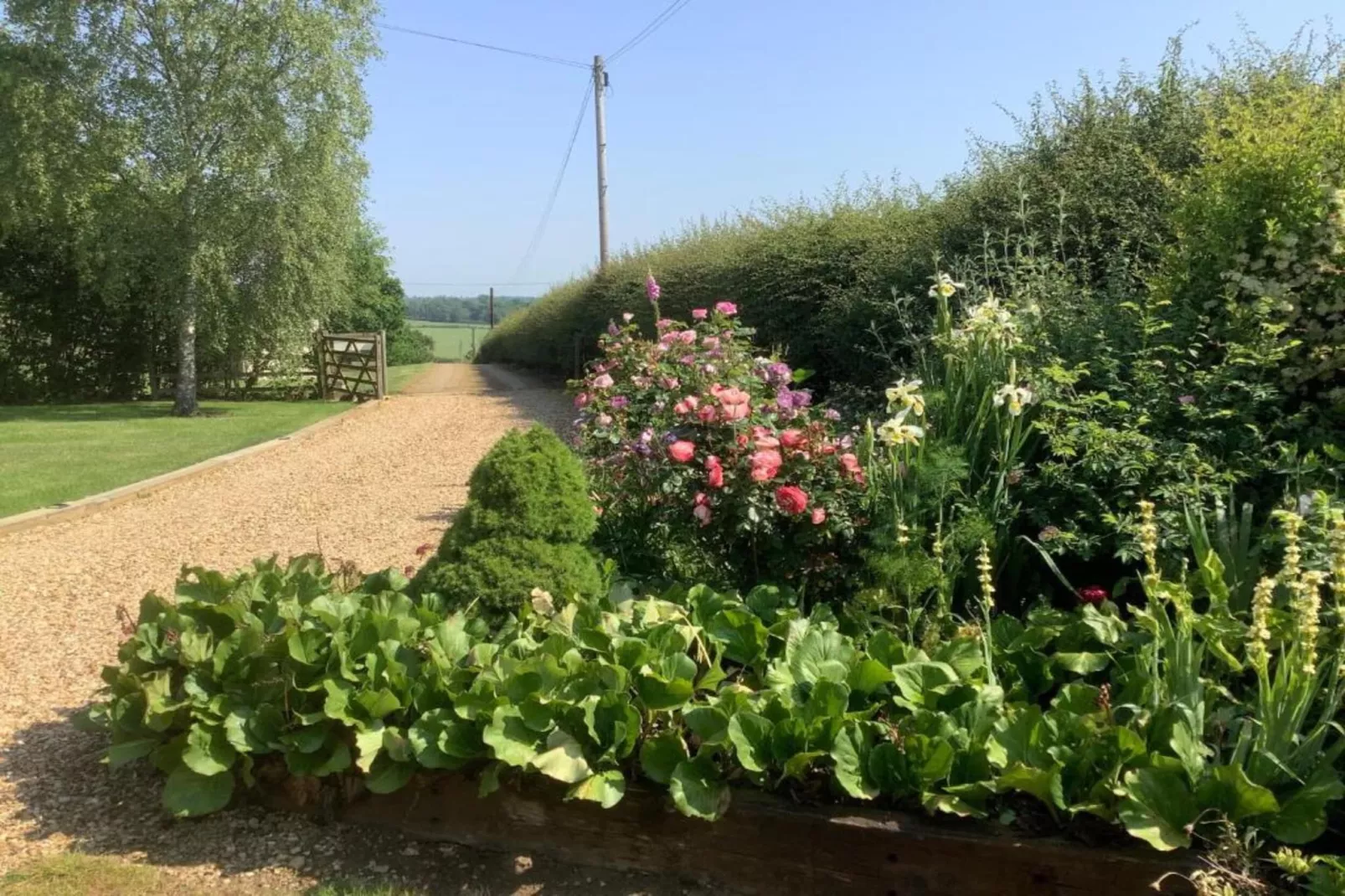 The Sett - Areas within 20km in summer