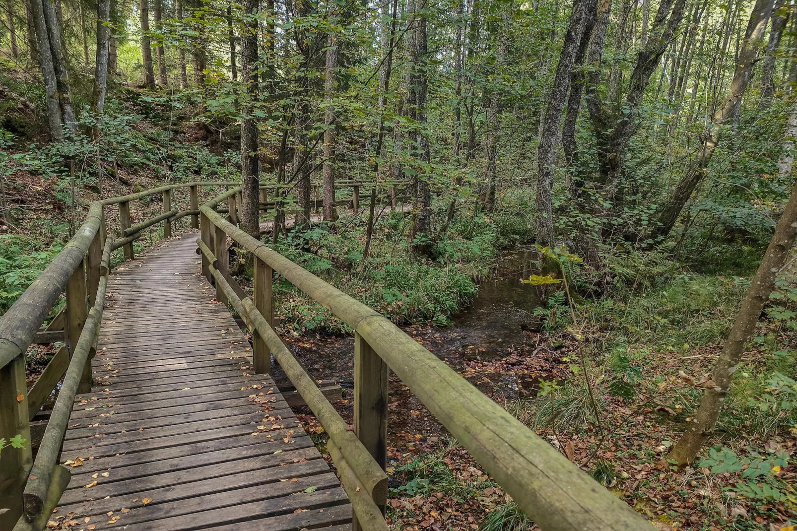 Friedas Ferienhaus Olsberg-Gebiete Sommer 20 km