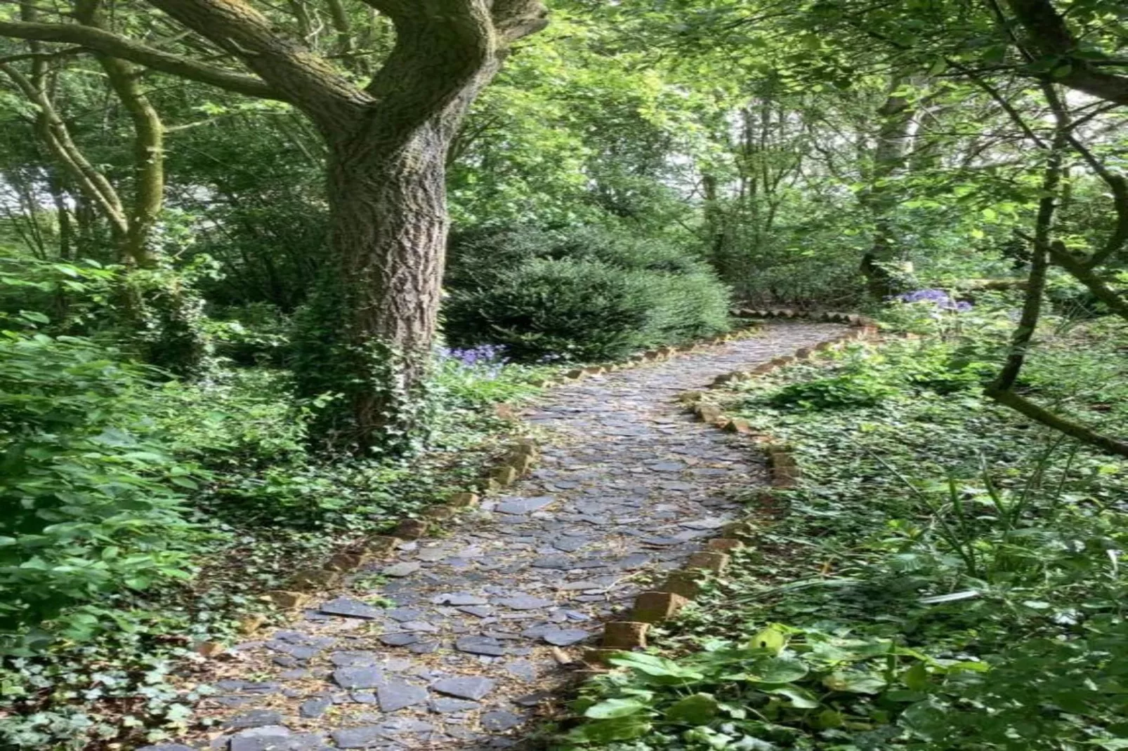 The Sett - Areas within 20km in summer