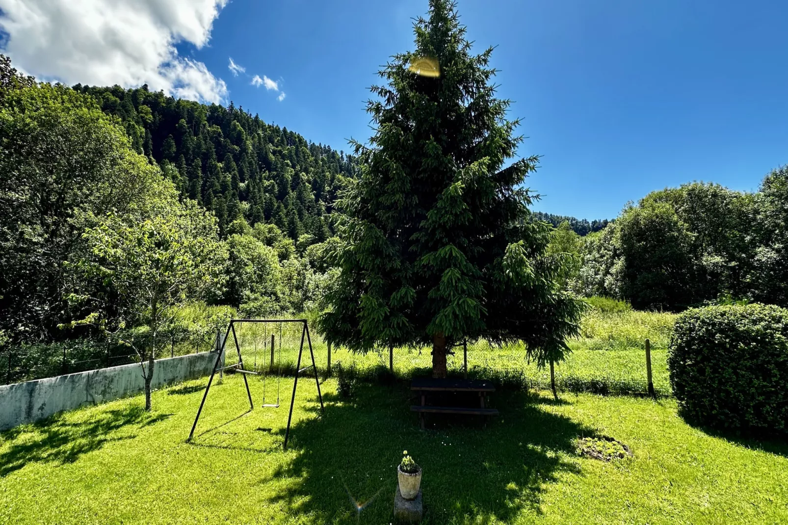 L'école du Hameau - Mont Dore 9 pers - Jardins en été